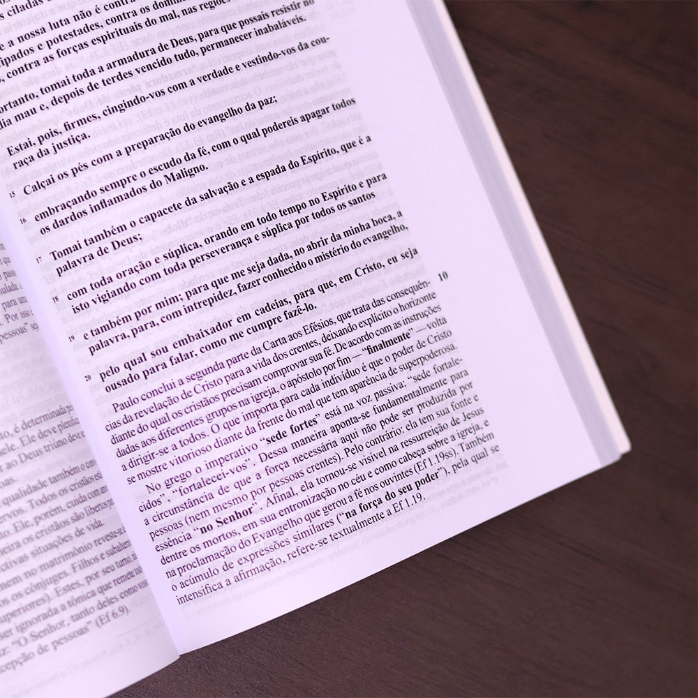 Comentário aos Efésios Filipenses e Colossenses | 
Fritz Rienecker