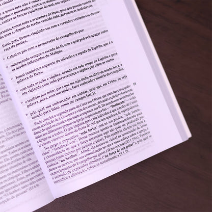 Comentário aos Efésios Filipenses e Colossenses | 
Fritz Rienecker