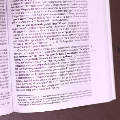 Evangelho de João II | 
Werner de Boor