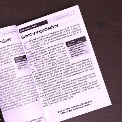 Devocional Pão Diário | Capa Cruz