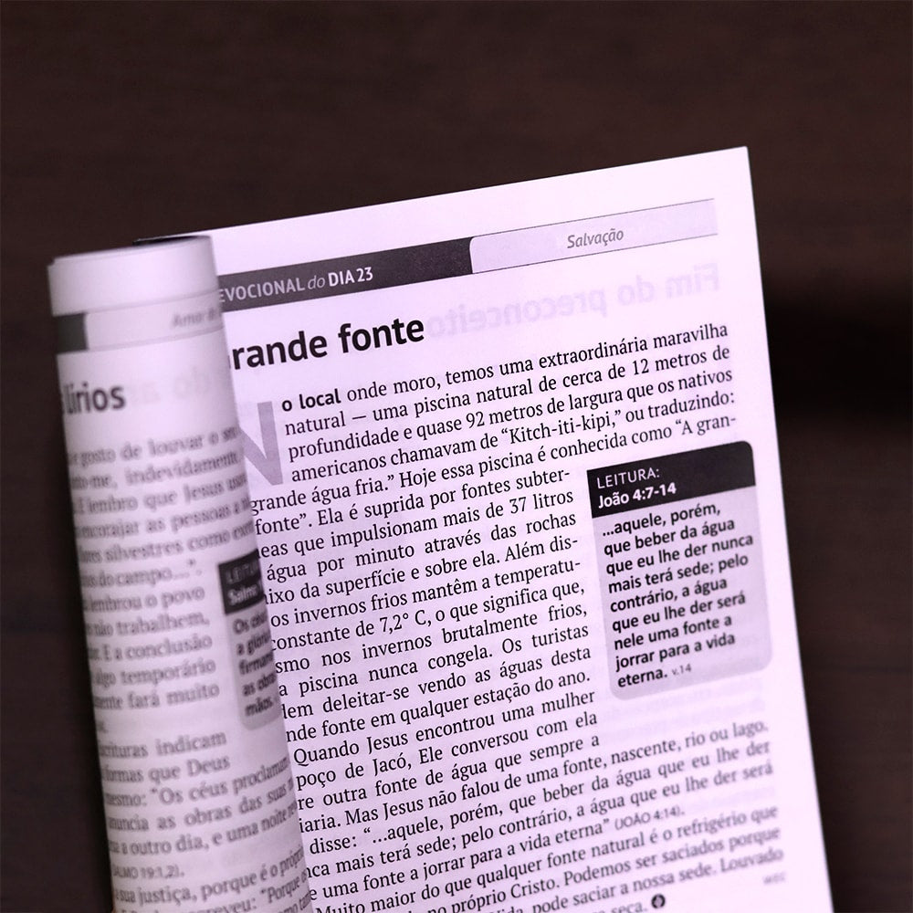 Devocional Pão Diário | Capa Leão de Judá