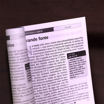 Devocional Pão Diário | Capa Leão de Judá