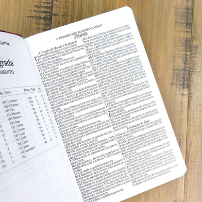 Bíblia Sagrada Leão Tinta Óleo | ARC | Letra Grande| Capa Dura | Harpa Avivada e Corinhos