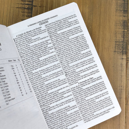 Bíblia Sagrada Bom Pastor | ARC | Letra Grande| Capa Dura | Harpa Avivada e Corinhos