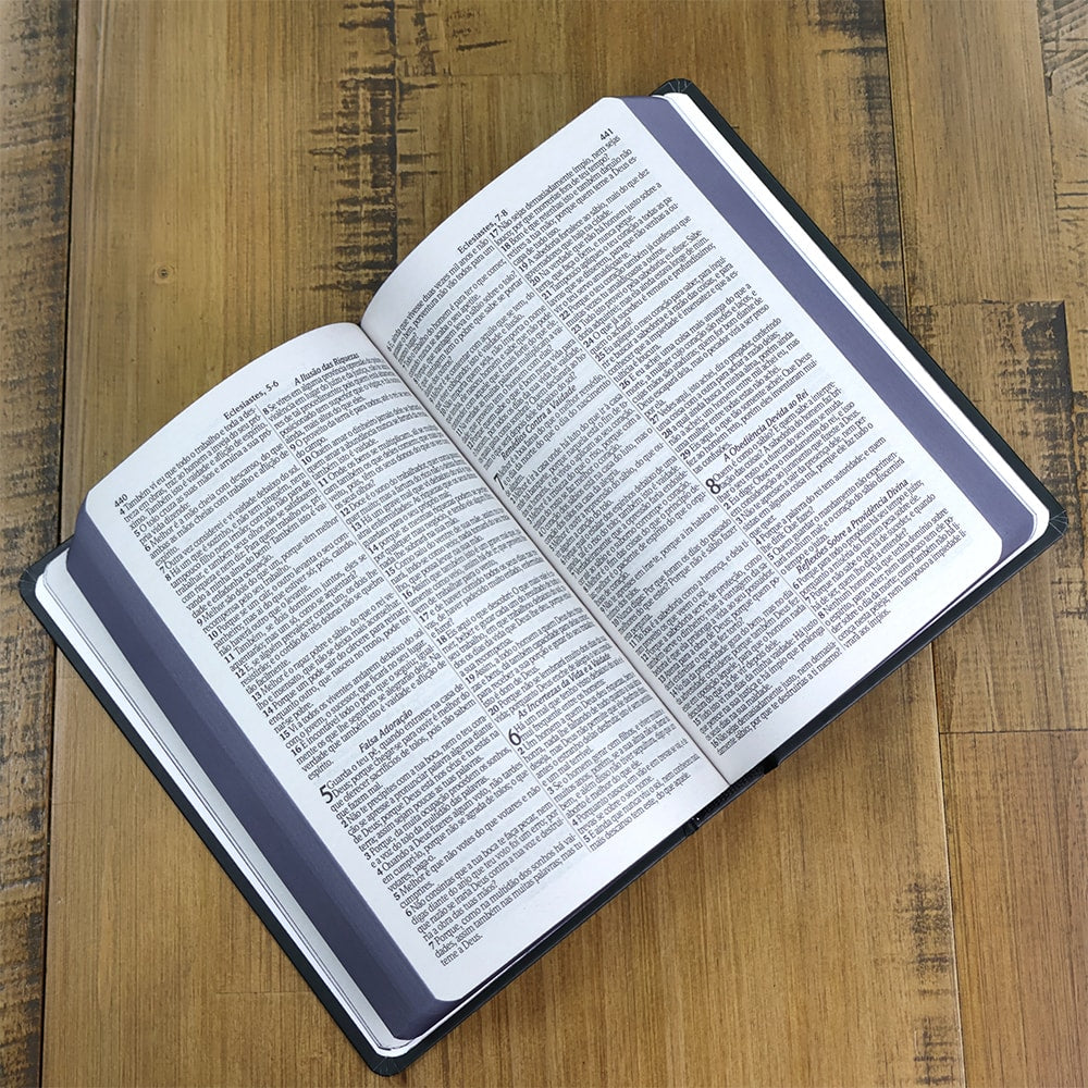 Bíblia Sagrada Bom Pastor | ARC | Letra Grande| Capa Dura | Harpa Avivada e Corinhos