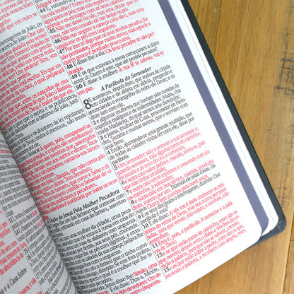 Bíblia Sagrada Bom Pastor | ARC | Letra Grande| Capa Dura | Harpa Avivada e Corinhos
