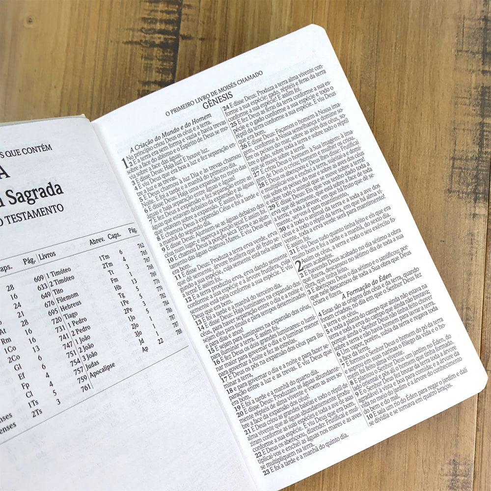 Bíblia Sagrada Jesus no Barco | ARC | Letra Gigante | Capa Dura | Harpa Avivada e Corinhos