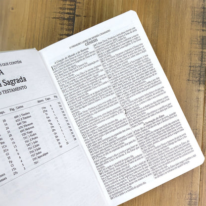 Bíblia Sagrada Jesus no Barco | ARC | Letra Gigante | Capa Dura | Harpa Avivada e Corinhos