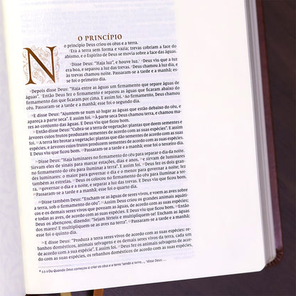 Bíblia Bible Journaling | NVI | Letra Normal | Courosoft Marrom 