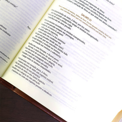 Bíblia Bible Journaling | NVI | Letra Normal | Courosoft Marrom 