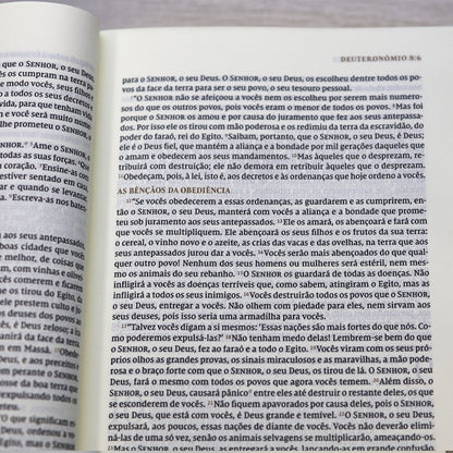 Bíblia Bible Journaling | NVI | Letra Normal | Capa Dura Vinho | Com Espaço Para Anotações