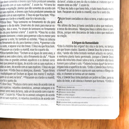 Bíblia Sagrada Salvos Pela Graça | NVI | Letra Normal | Capa Brochura