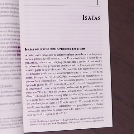 Introdução Aos Profetas Hebreus | James Nogalski