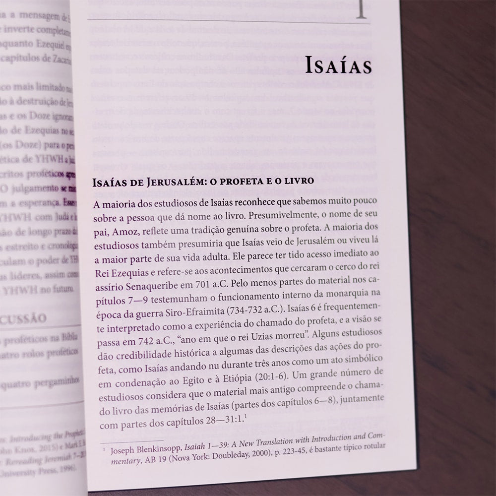 Introdução Aos Profetas Hebreus
 | James Nogalski