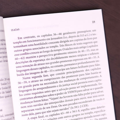 Introdução Aos Profetas Hebreus
 | James Nogalski