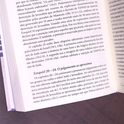Introdução Aos Profetas Hebreus | James Nogalski