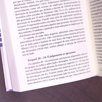 Introdução Aos Profetas Hebreus
 | James Nogalski