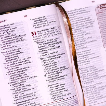 Bíblia de Estudo Plenitude Para Jovens | Letra Normal | NTLH | Capa Dura Marrom Fosco