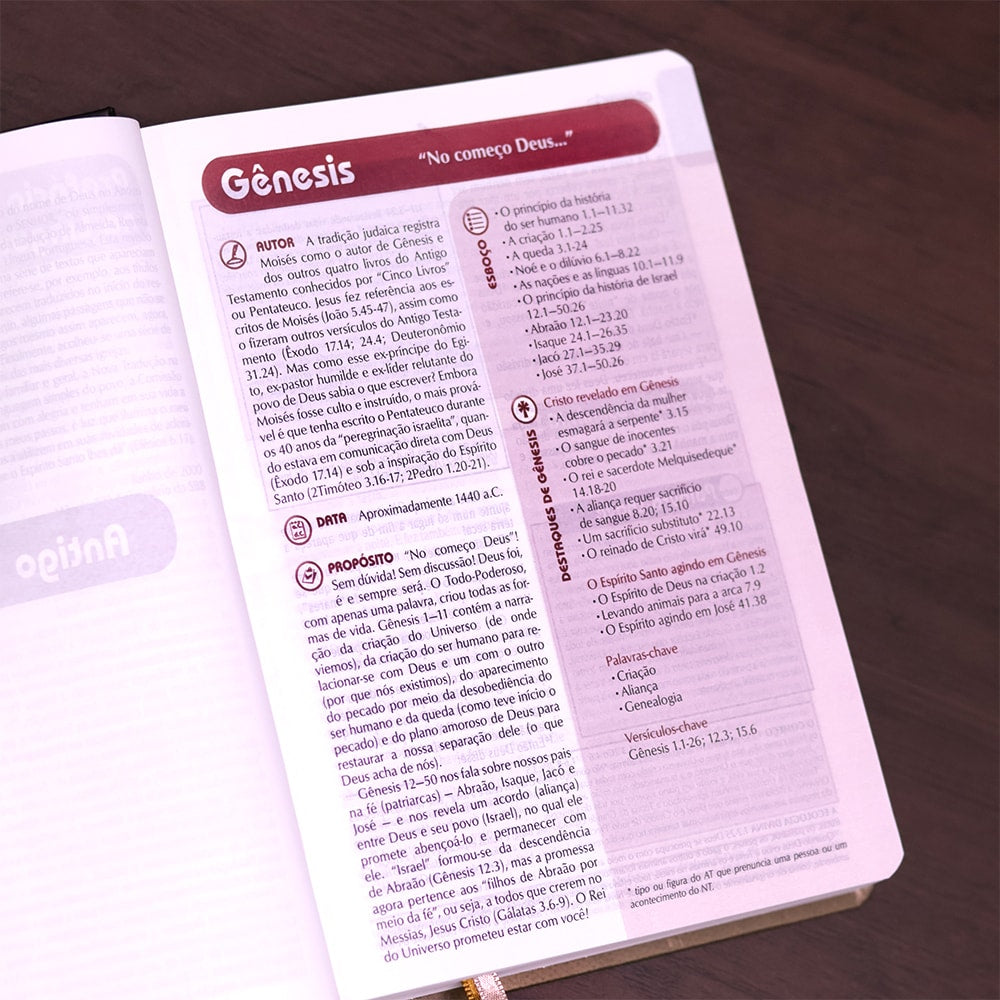 Bíblia de Estudo Plenitude Para Jovens | Letra Normal | NTLH | Capa Dura Marrom Fosco