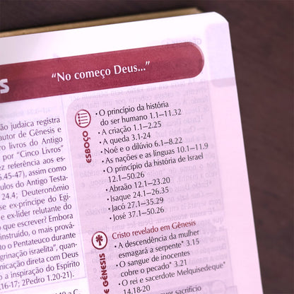 Bíblia de Estudo Plenitude Para Jovens | Letra Normal | NTLH | Capa Dura Marrom Fosco