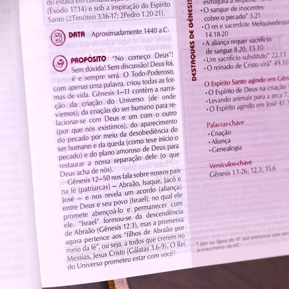 Bíblia de Estudo Plenitude Para Jovens | Letra Normal | NTLH | Capa Dura Marrom Fosco