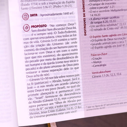 Bíblia de Estudo Plenitude Para Jovens | Letra Normal | NTLH | Capa Dura Marrom Fosco