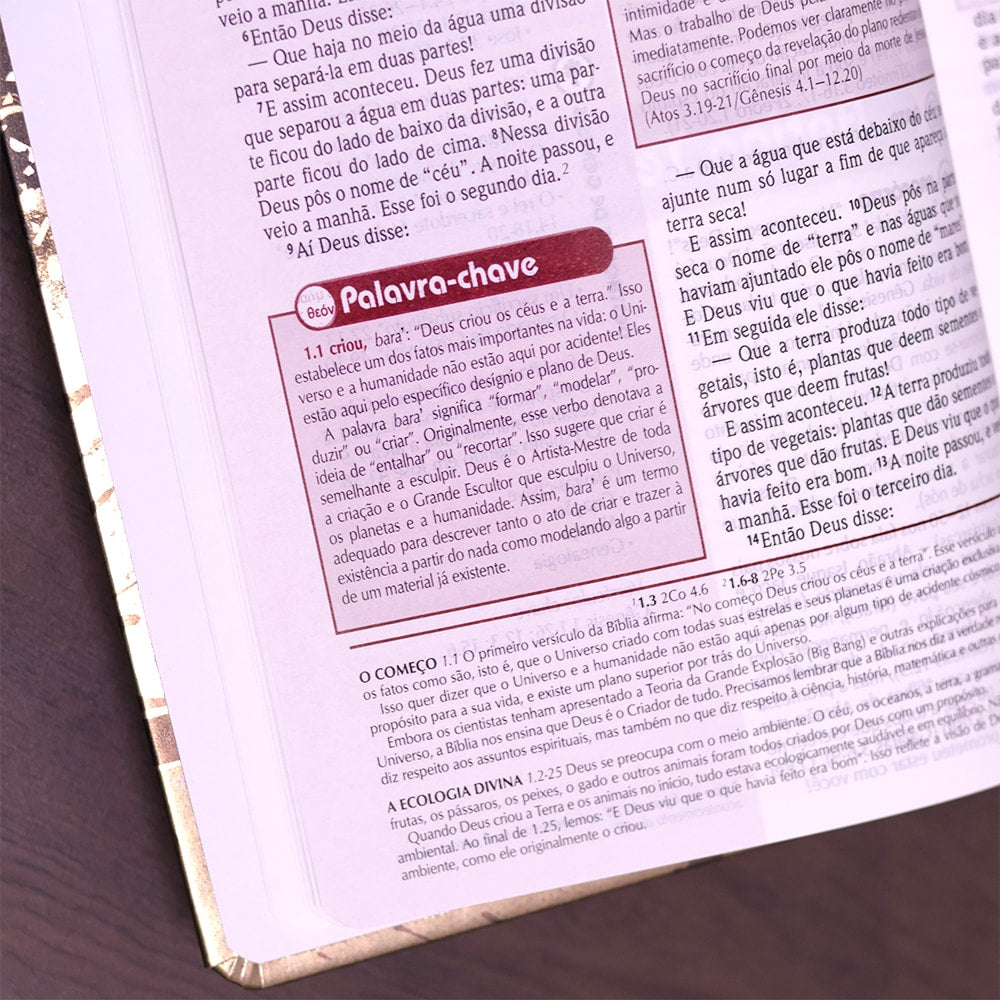 Bíblia de Estudo Plenitude Para Jovens | Letra Normal | NTLH | Capa Dura Marrom Fosco