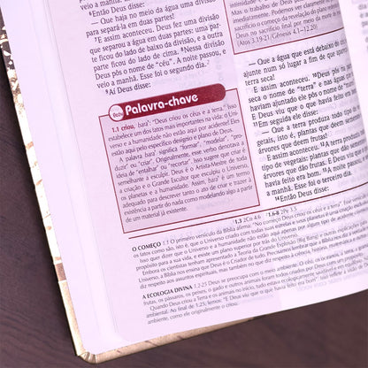 Bíblia de Estudo Plenitude Para Jovens | Letra Normal | NTLH | Capa Dura Marrom Fosco