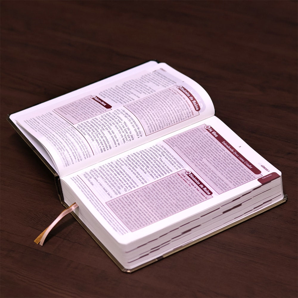 Bíblia de Estudo Plenitude Para Jovens | Letra Normal | NTLH | Capa Dura Marrom Fosco