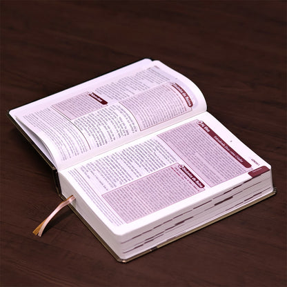 Bíblia de Estudo Plenitude Para Jovens | Letra Normal | NTLH | Capa Dura Marrom Fosco