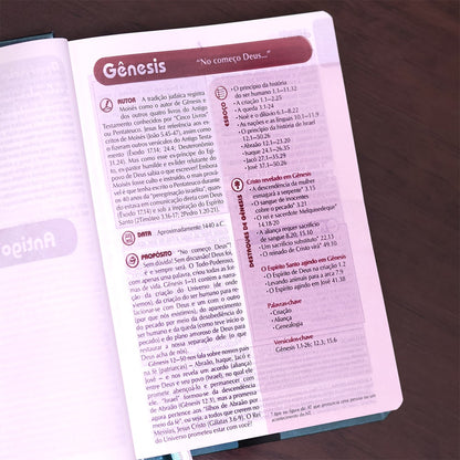 Bíblia de Estudo Plenitude Para Jovens | Letra Normal | NTLH | Capa Dura Verde Brilho