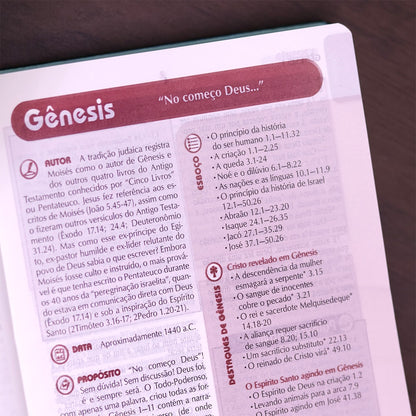 Bíblia de Estudo Plenitude Para Jovens | Letra Normal | NTLH | Capa Dura Verde Brilho