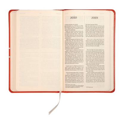 Os Evangelhos |  Bilíngue | NVI | Letra Grande | Capa Dura