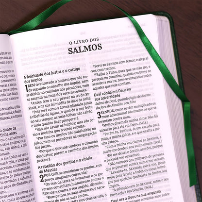 Bíblia Sagrada | ACF | Leitura Perfeita | Capa Couro Soft Verde