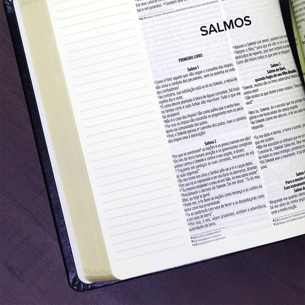 Bíblia Anote | NVI | Letra Normal | Capa Luxo Preta