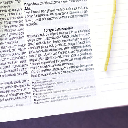 Bíblia Anote | NVI | Letra Normal | Capa Luxo Rosa