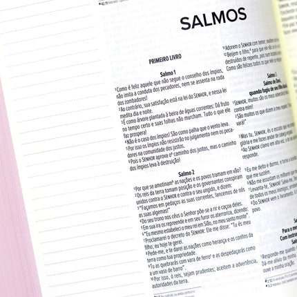 Bíblia Anote | NVI | Letra Normal | Capa Luxo Rosa