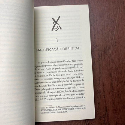 Tudo Que O Cristão Precisa Saber Sobre O | Santidade | J V Fesko