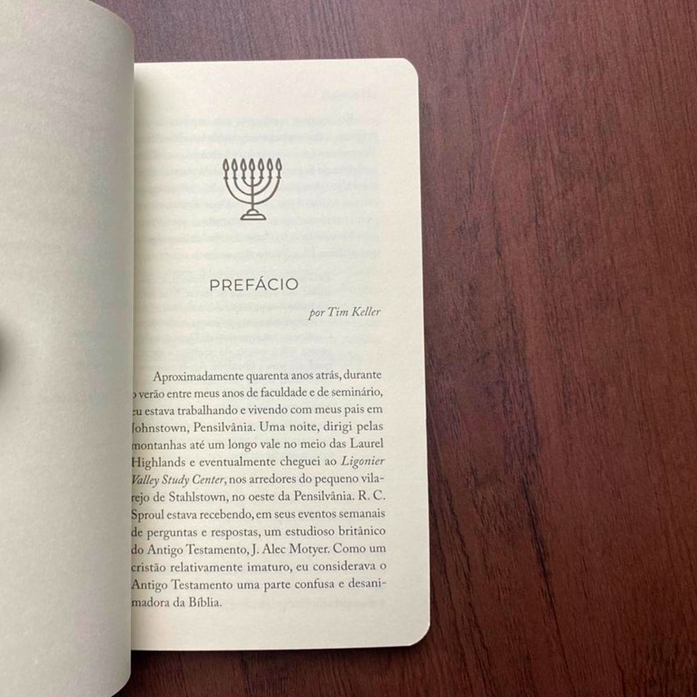 Tudo Que O Cristão Precisa Saber Sobre O | Antigo Testamento | J Alec Motyer