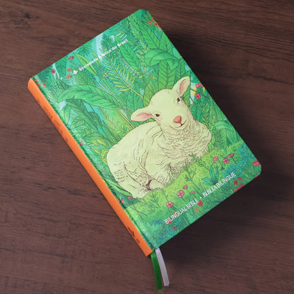 Bíblia Bilíngue | Português e Inglês | Edição Para Jovens | NTLH | Capa Dura Ovelha