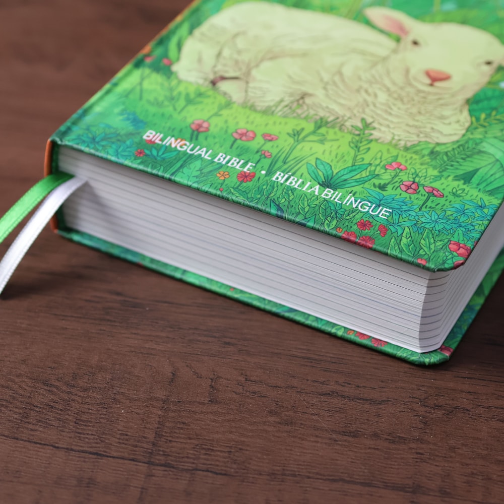 Bíblia Bilíngue | Português e Inglês | Edição Para Jovens | NTLH | Capa Dura Ovelha