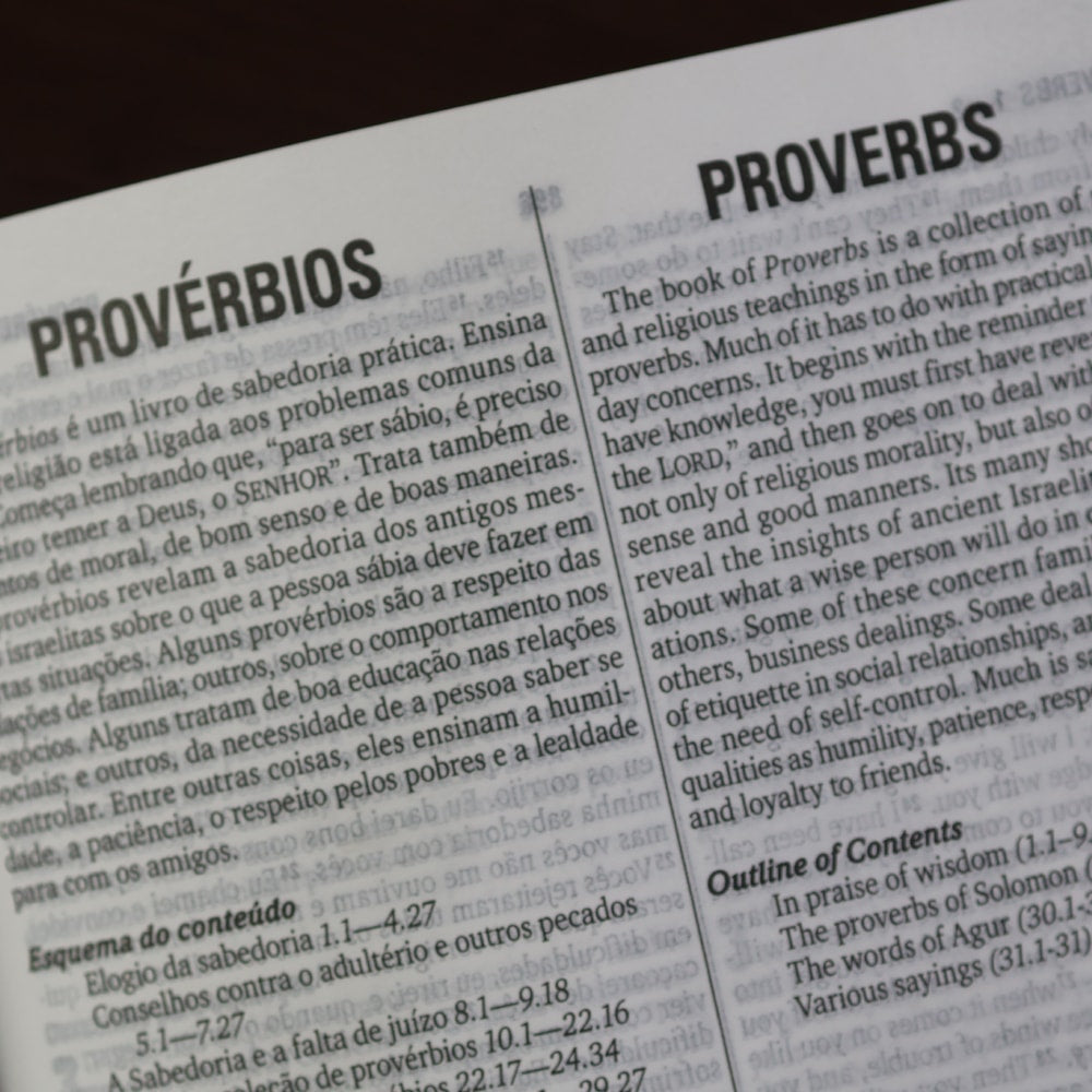 Bíblia Bilíngue | Português e Inglês | Edição Para Jovens | NTLH | Capa Dura Ovelha