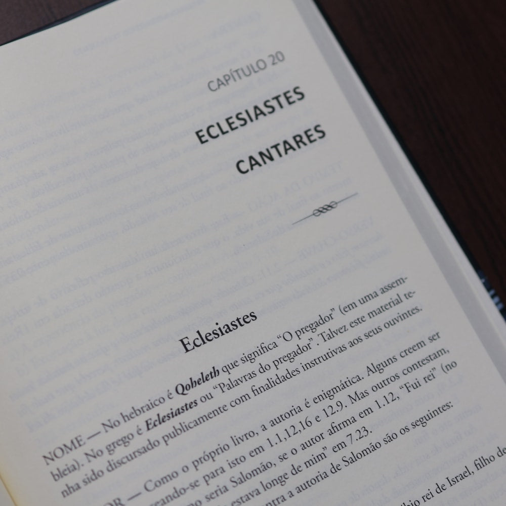 Panorama do Antigo Testamento | Angelo Gagliardi Júnior
