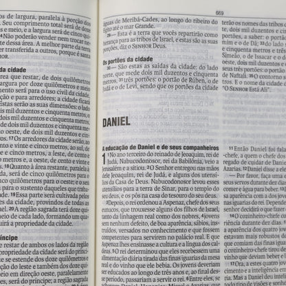 Biblia Flores Vermelhas | NAA | Letra Normal | Capa Dura