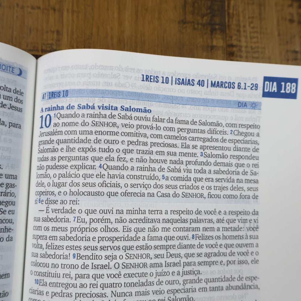 Bíblia 365 Dia e Noite | NAA | Letra Normal | Capa Dura Dias e Noites com a Palavra
