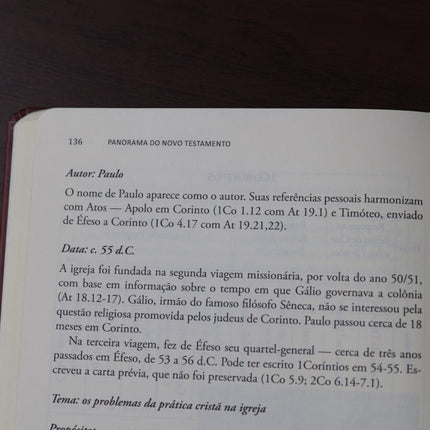 Panorama do Novo Testamento | Magno Paganelli