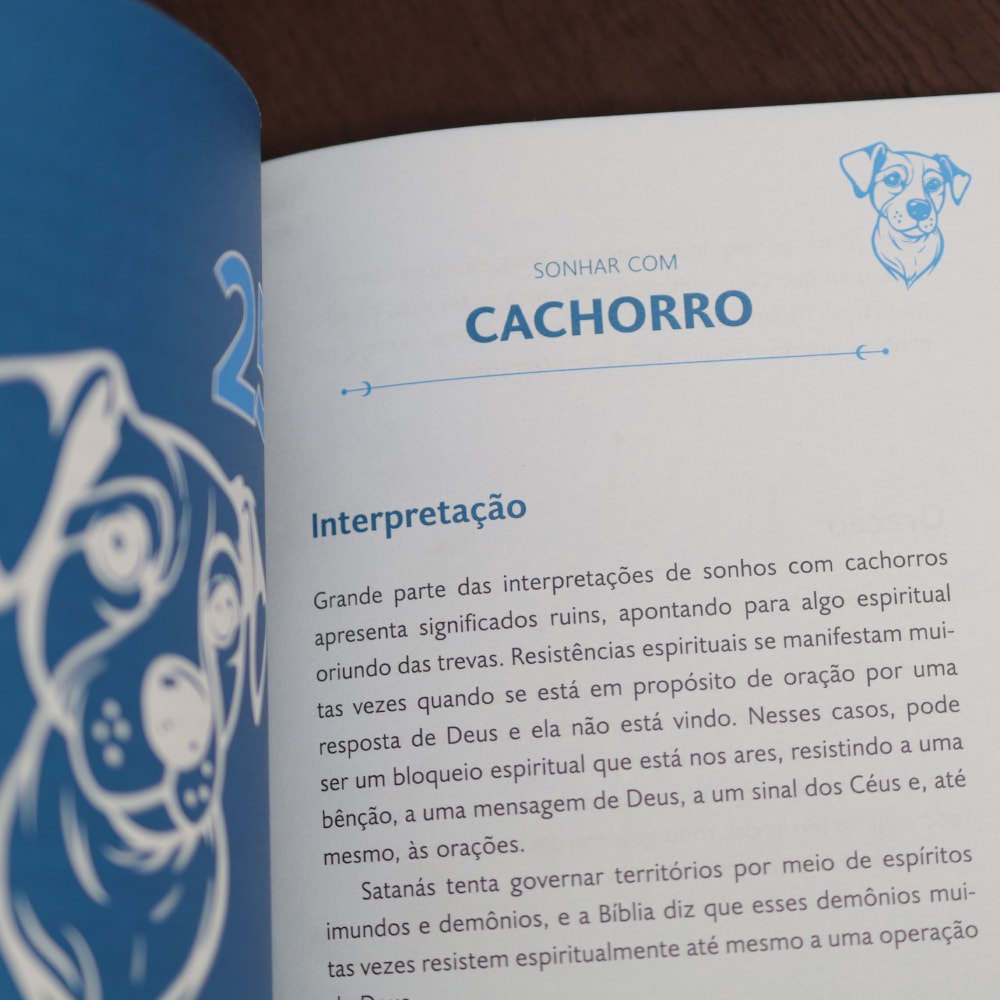 Top 50 Sonhos e Seus Significados | Vinicius Iracet
