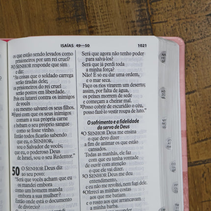 Bíblia Sagrada | Letra Gigante | NTLH | Capa Rosa Claro | Com Índice