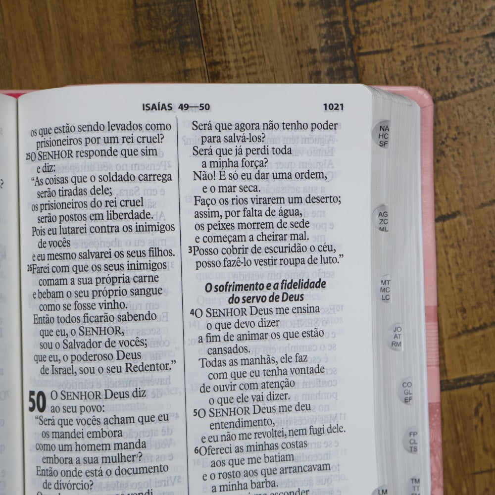 Bíblia Sagrada | Letra Gigante | NTLH | Capa Rosa Claro | Com Índice