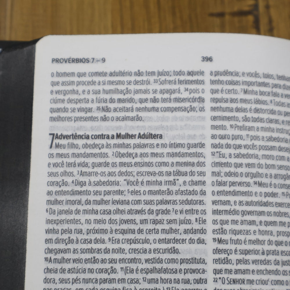 Bíblia Rugido da Verdade | NVI | Letra Normal | Capa Semi luxo Brochura